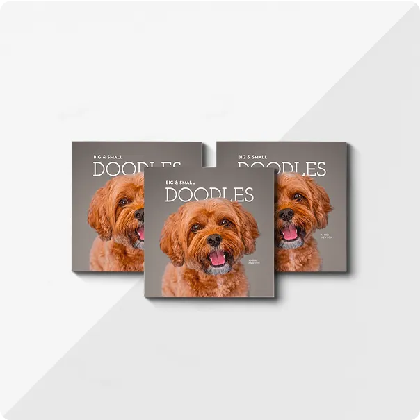 Three square photo books titled Doodles with a picture of a fluffy dog on the front cover