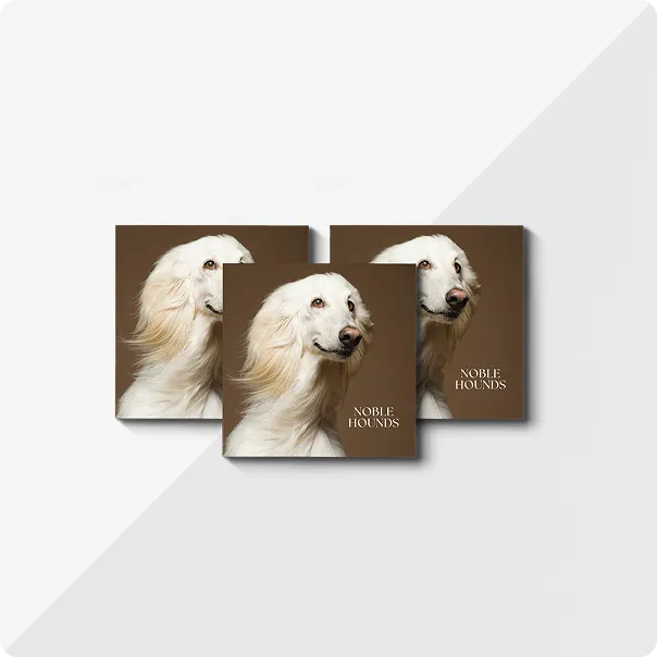Three square photo books titled Noble Hounds with a picture of a dog on the front cover