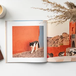 Dana Walton's ImageWrap hardcover photo book, Cats of Santorini, open on two photos of cats among the buildings of Santorini