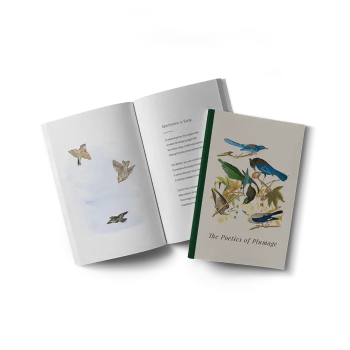 Two copies of a paperback book, one open and one closed, featuring illustrations of birds and poetry