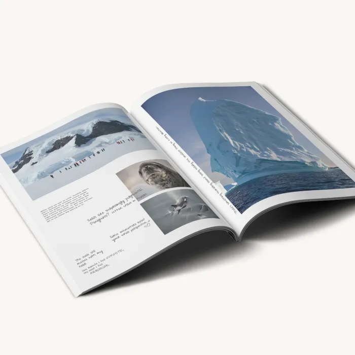 Doppelseite einer aufgeschlagenen Zeitschrift, auf der Reisefotos von Gletschern und Wildtieren zu sehen sind.