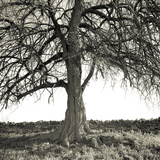 kbarkerphoto