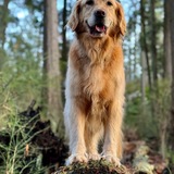 e-g-leonard e-g-leonard