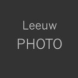 qleeuw