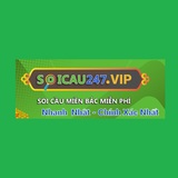 soicau247vip