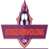 bongdabinhdu