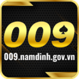 009namdinhgo