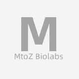 mtozbiolabs