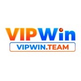 vipwinteam