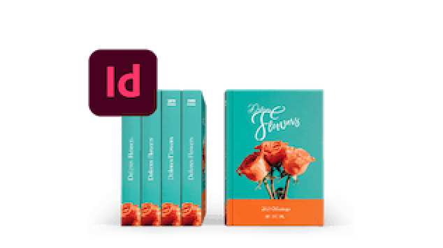 Professional books designed using the Adobe InDesign plug-in