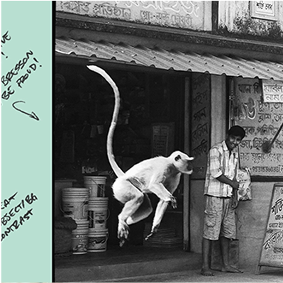 Image Breakdown (12/19/24)- A high-energy black-and-white image of a monkey jumping in an Indian marketplace, annotated with photography tips.