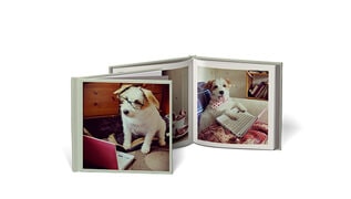 Abbildung eines Familien-Fotoalbums mit Bildern des Familienhunds