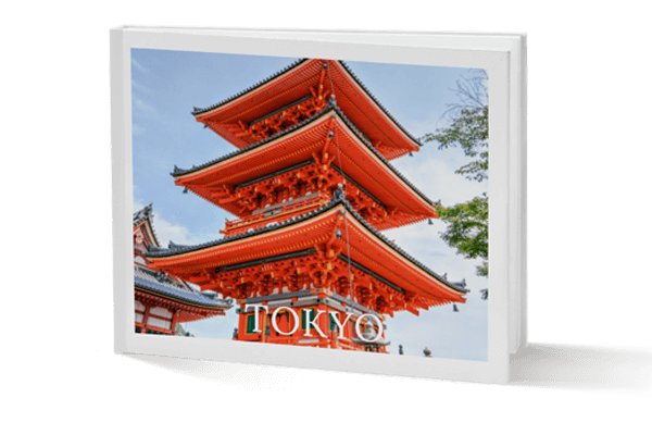 Libro de fotos de viaje con la foto de un monumento de Tokio en la portada